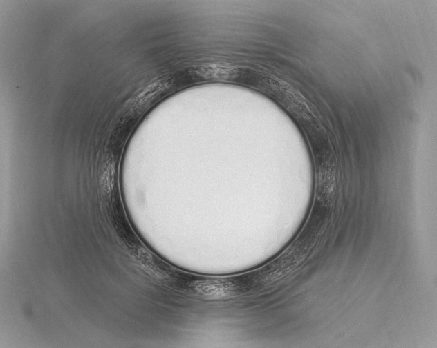 X0000115710652200912101238