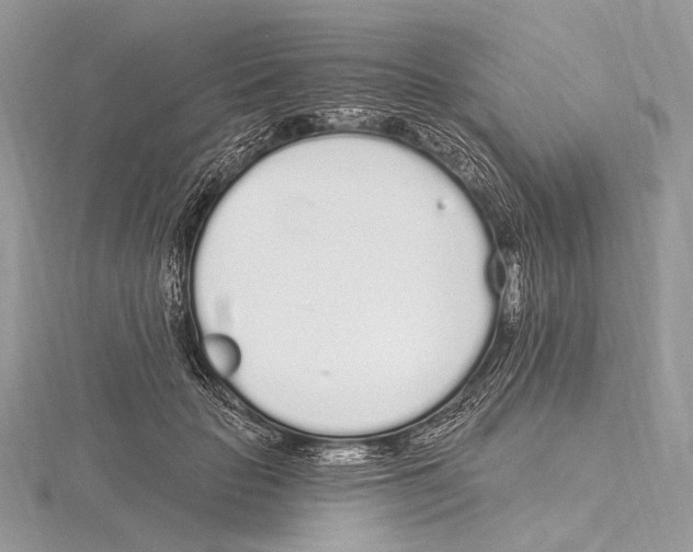 X0000115710653200912101238