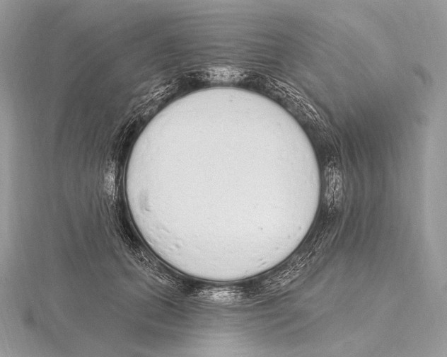 X0000115710655200912101238