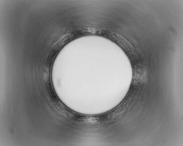 X0000115710656200912101238