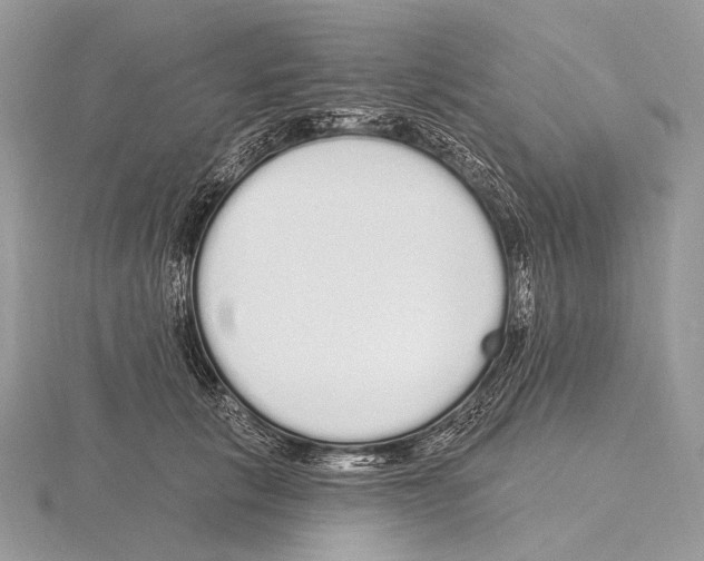 X0000115710657200912101238