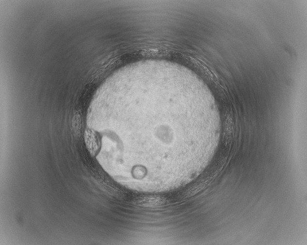 X0000115710659200912101238