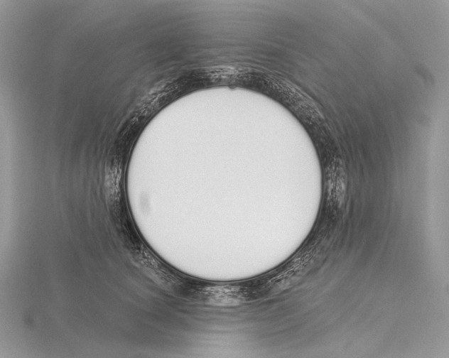 X0000115710660200912101238