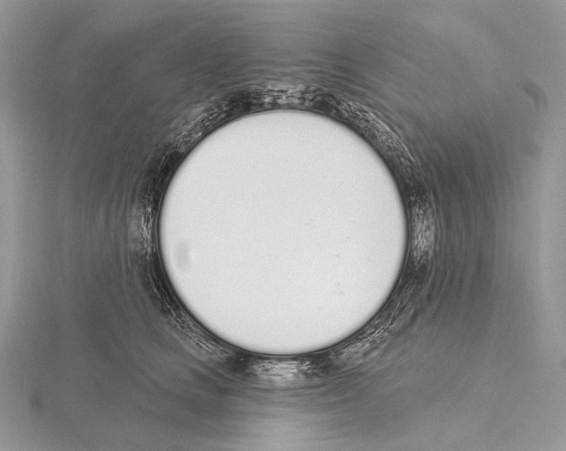 X0000115710661200912101238