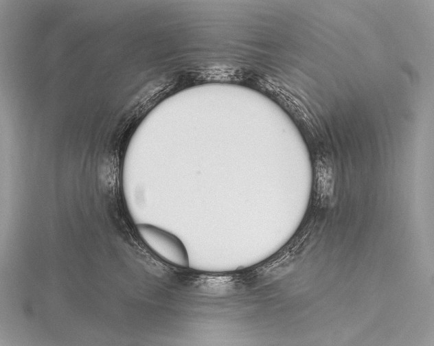 X0000115710665200912101238