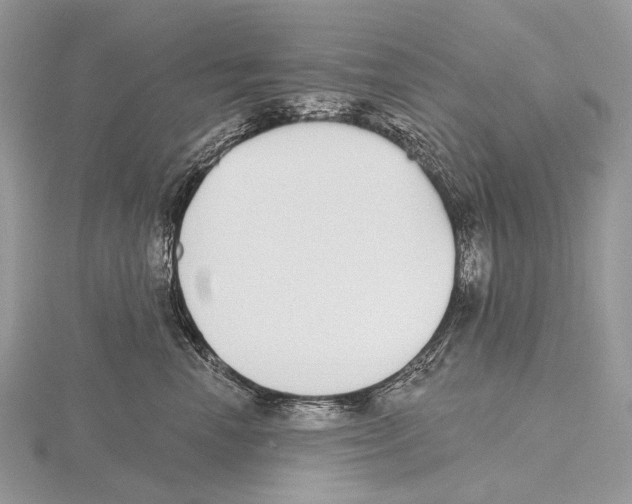 X0000115710666200912101238