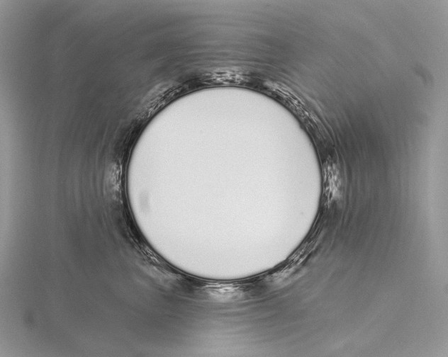 X0000115710667200912101238