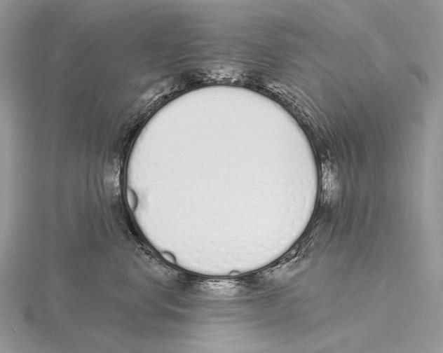 X0000115710668200912101238