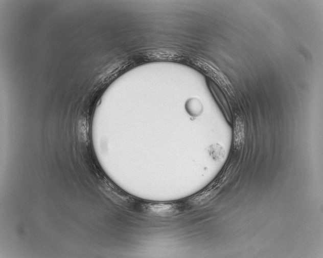 X0000115710669200912101238