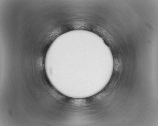 X0000115710670200912101238