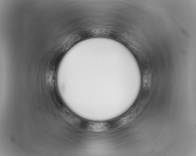 X0000115710671200912101238