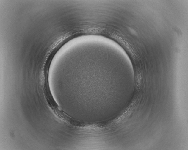 X0000115710674200912101237