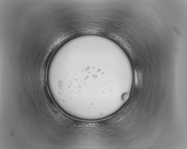 X0000115710675200912101237