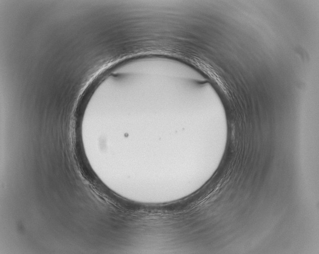 X0000115710676200912101237