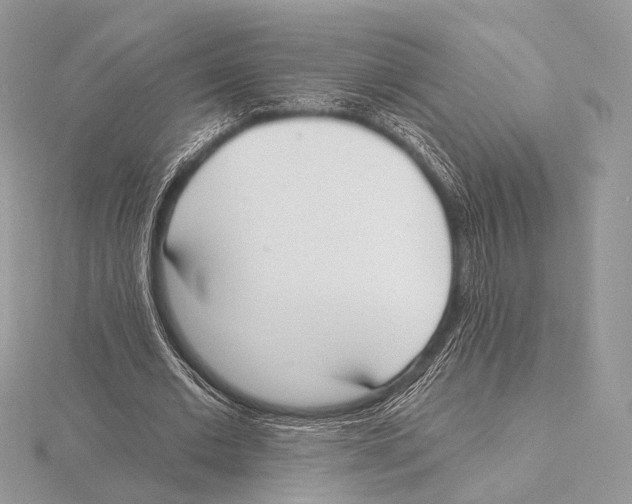 X0000115710677200912101237