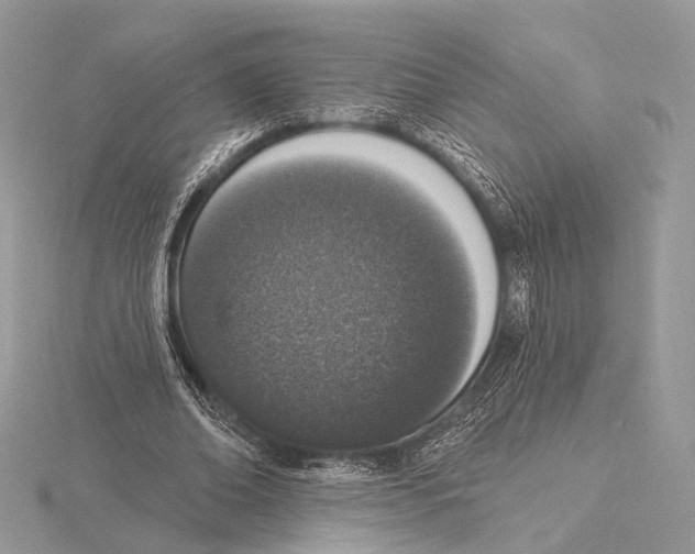 X0000115710678200912101237