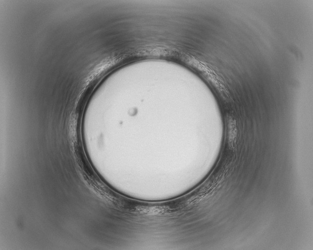 X0000115710679200912101237