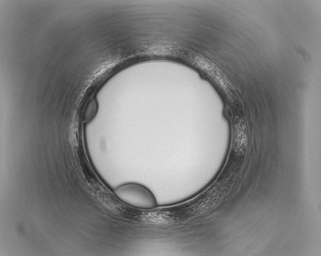 X0000115710680200912101237