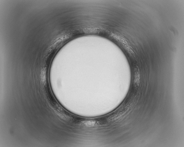 X0000115710687200912101237