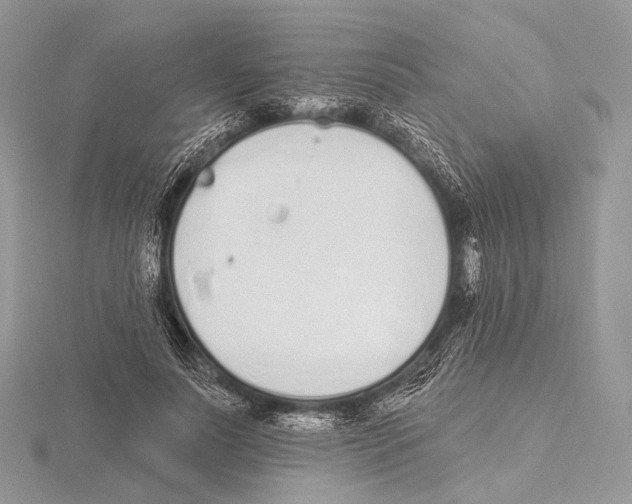 X0000115710691200912101237