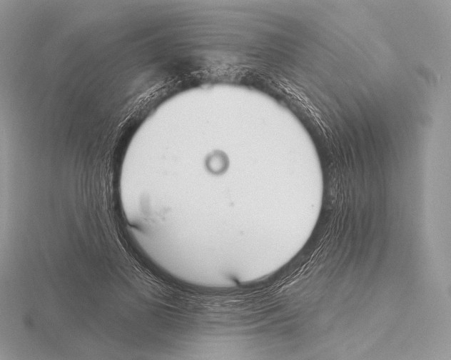 X0000115710693200912101237