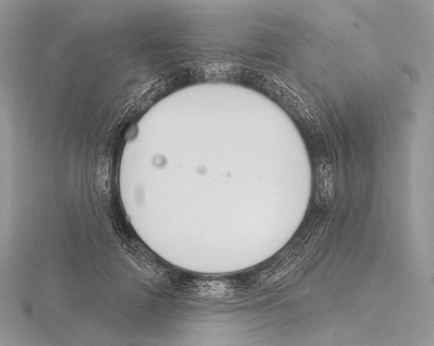 X0000115710698200912101237