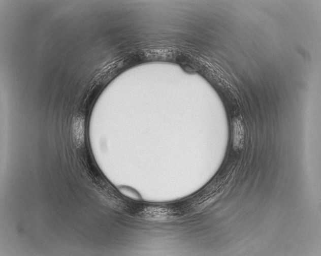 X0000115710699200912101237