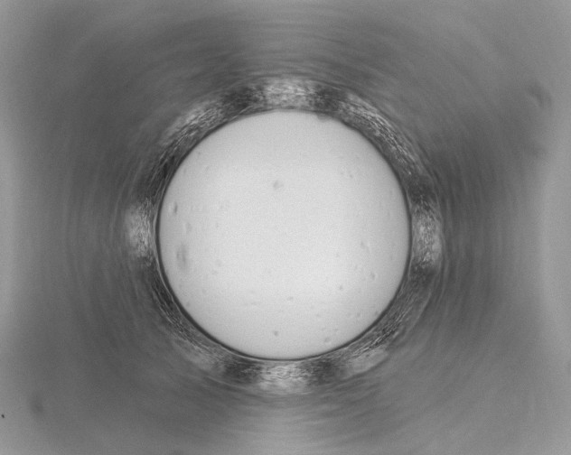 X0000115710705200912101237