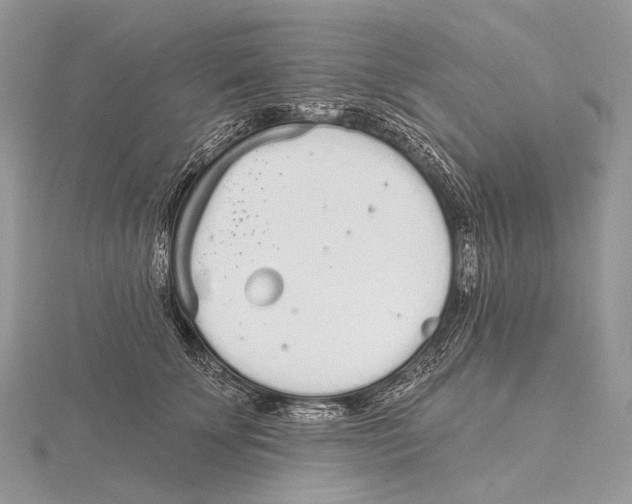 X0000115710707200912101237