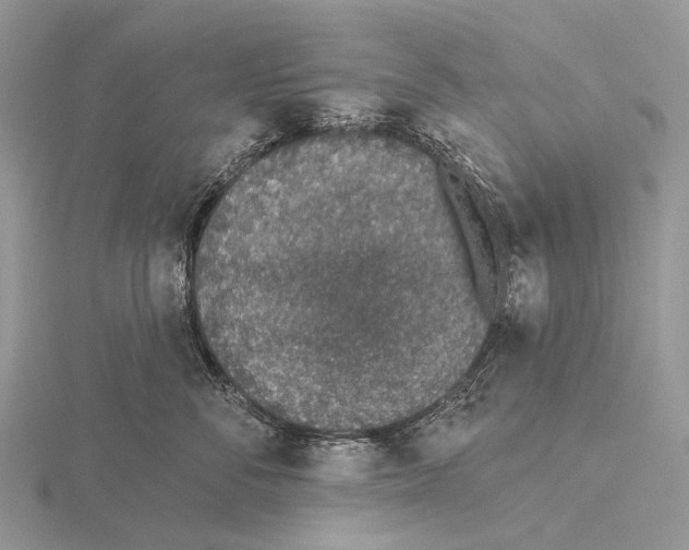 X0000115710716200912101237