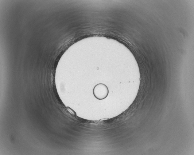 X0000115710720200912101237