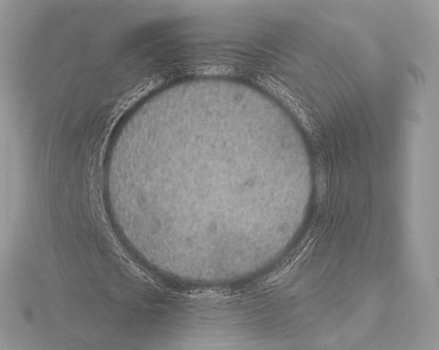 X0000115710721200912101236