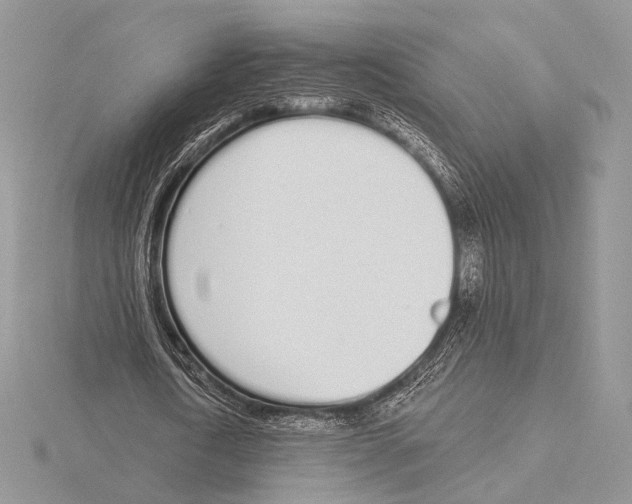 X0000115710722200912101236