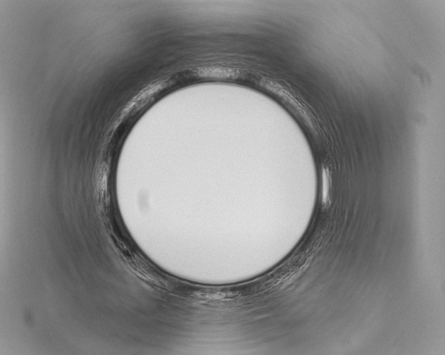 X0000115710723200912101236