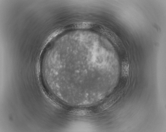 X0000115710726200912101236