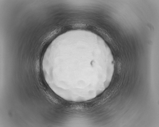 X0000115710729200912101236