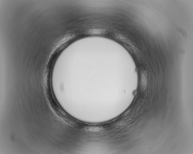 X0000115710730200912101236