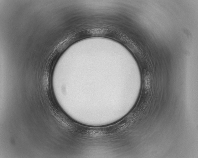 X0000115710733200912101236