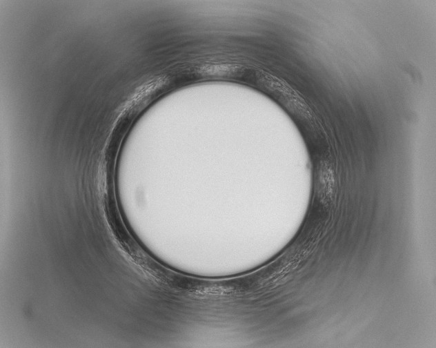 X0000115710734200912101236