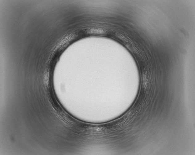 X0000115710735200912101236