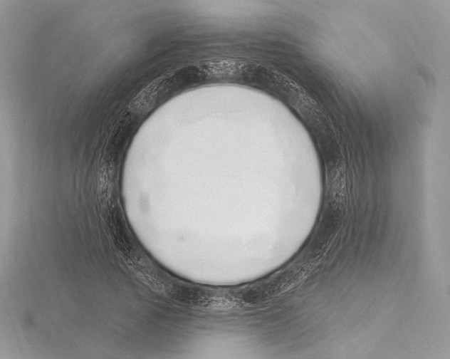 X0000115710737200912101236