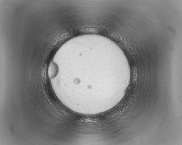 X0000115710739200912101236