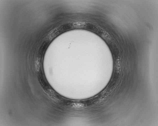 X0000115710741200912101236