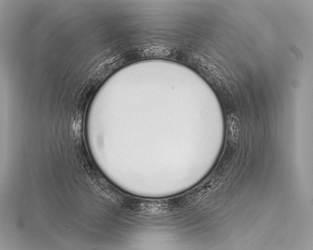 X0000115710745200912101236