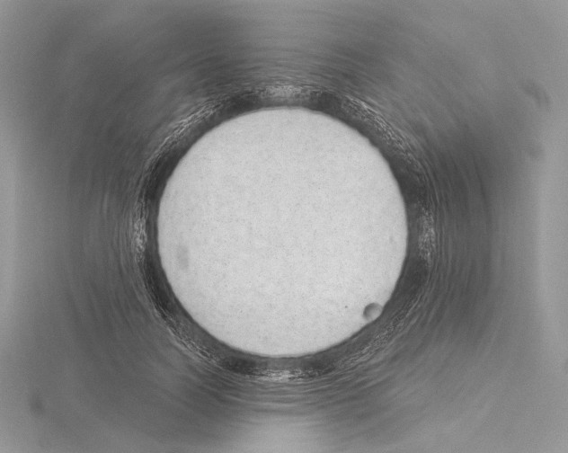 X0000115710746200912101236