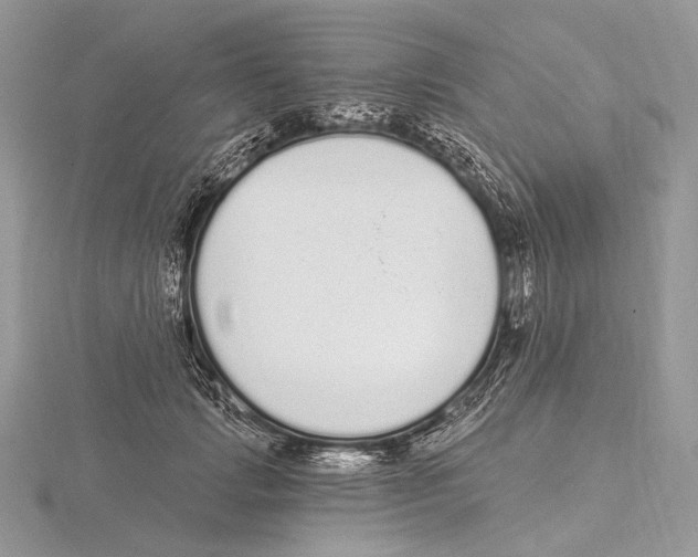 X0000115710749200912101237