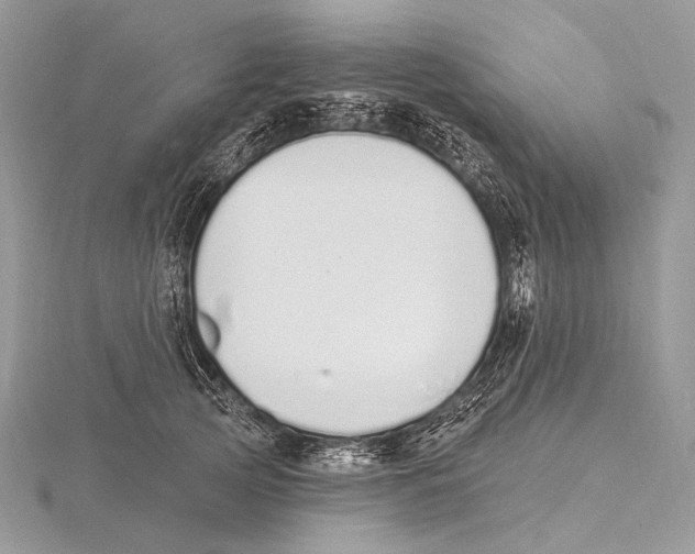 X0000115710753200912101237