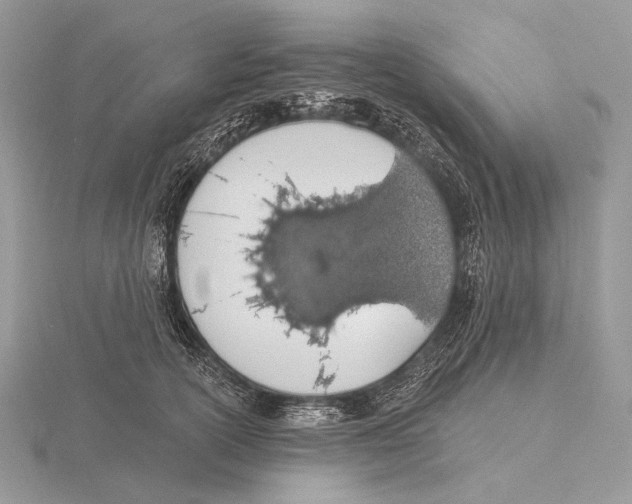 X0000115710754200912101237