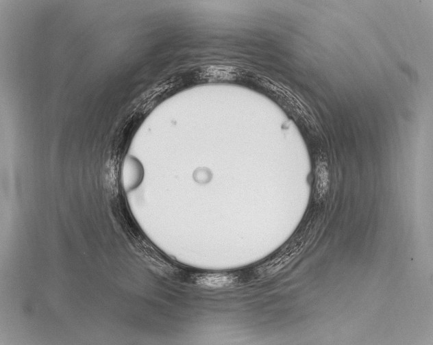 X0000115710759200912101237