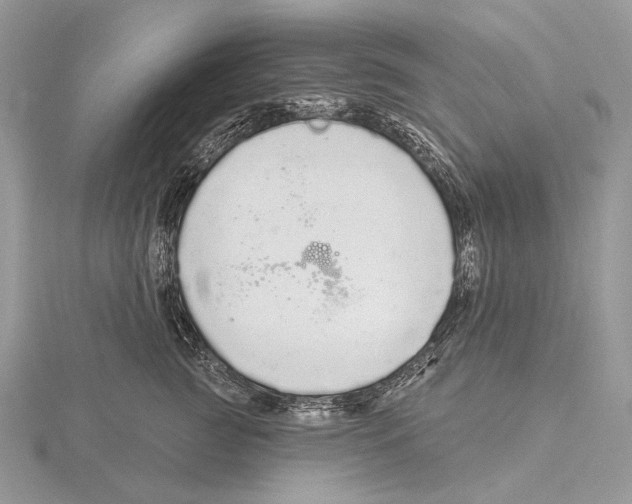 X0000115710761200912101237